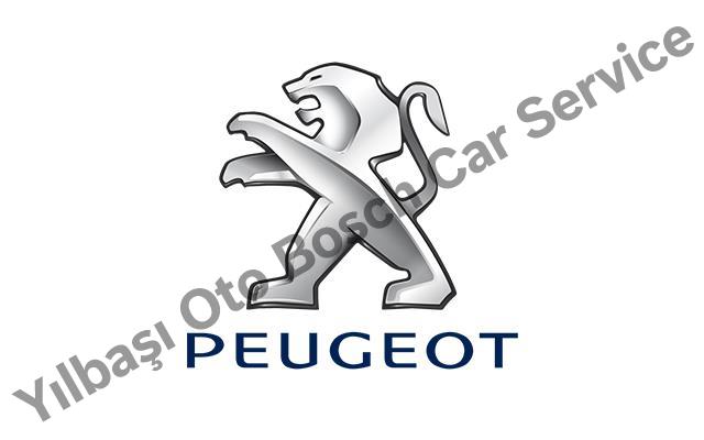 Bursa Peugeot Servisi